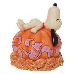 Snoopy Laying ontop of Carved