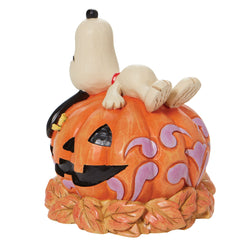 Snoopy Laying ontop of Carved