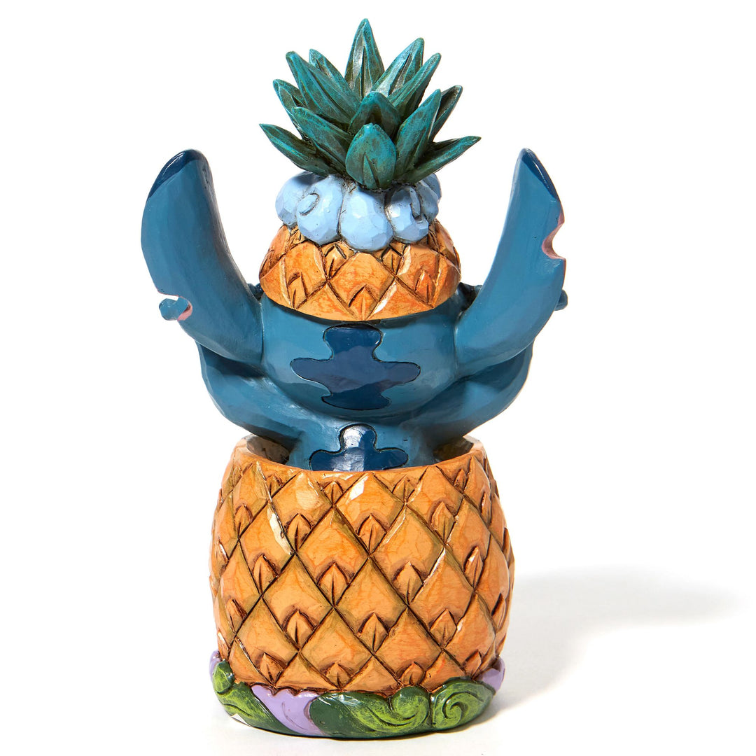 Stitch in a Pineapple