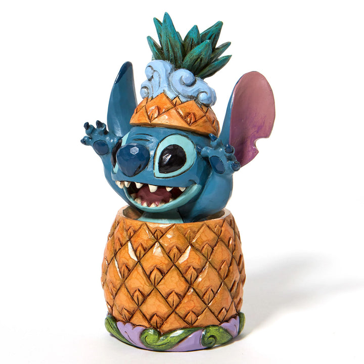 Stitch in a Pineapple