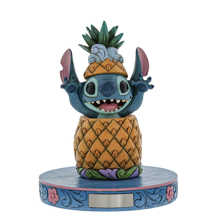 Stitch in a Pineapple