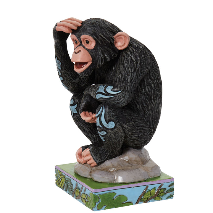 Chimpanzee