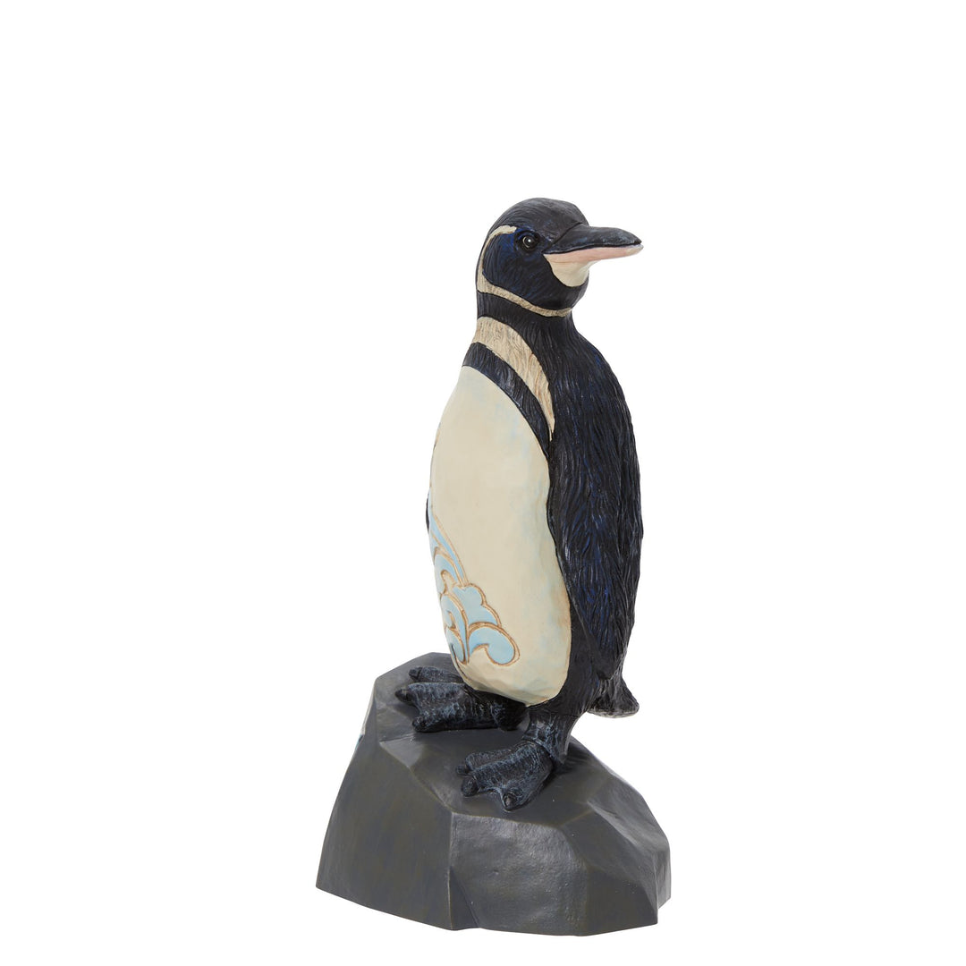 Galapagos Penguin