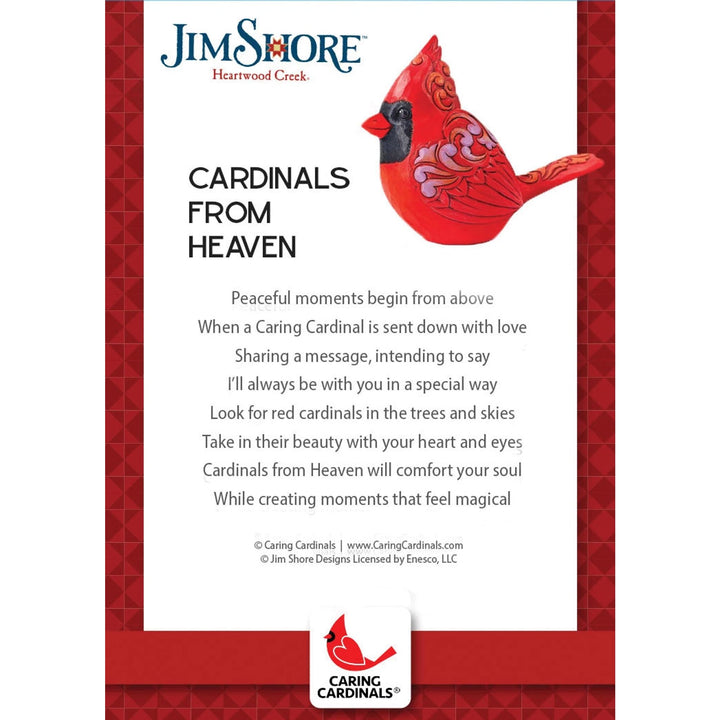 Caring Cardinal From Heaven