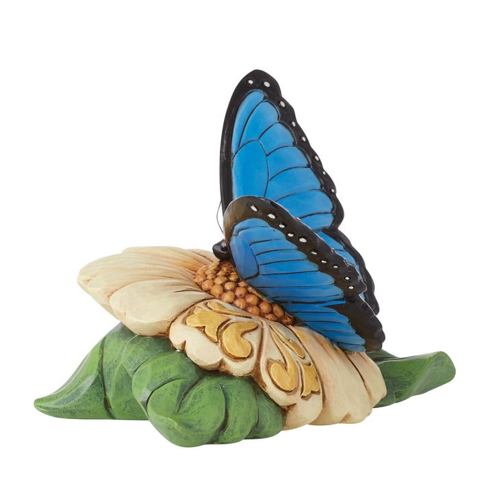 Mini Blue Morpho Butterfly Fig