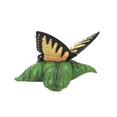 Mini Swallowtail Butterfly Fig