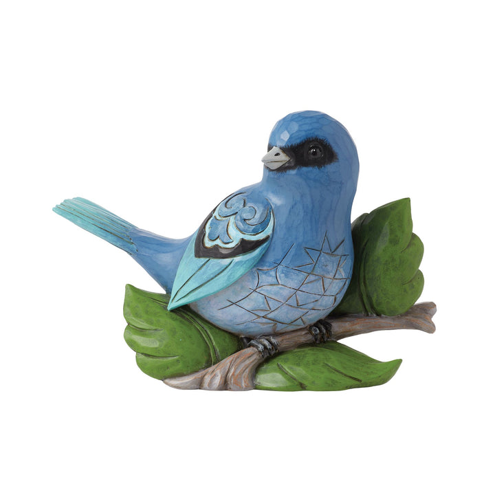 Indio Bunting Bird Fig