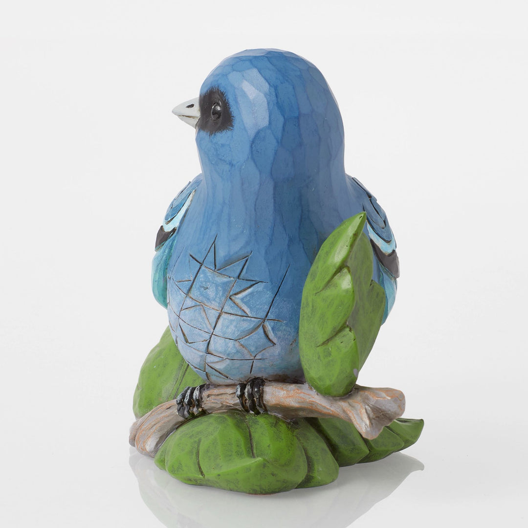 Indio Bunting Bird Fig