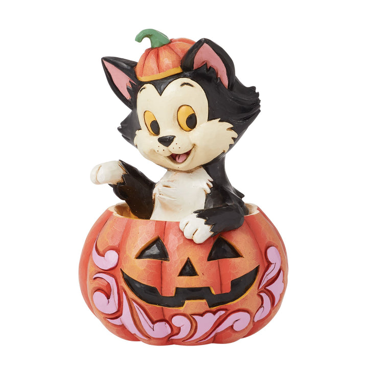 Figaro in Jack-O-Lantern Mini