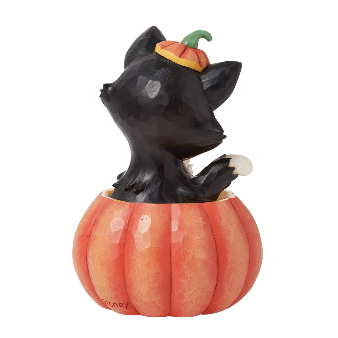 Figaro in Jack-O-Lantern Mini