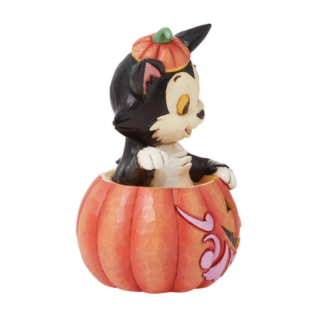 Figaro in Jack-O-Lantern Mini