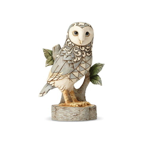White Woodland Owl on Branch