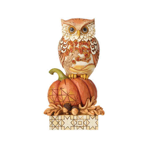 Harvest Owl on Pumpkin