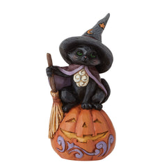 Mini Black Cat on Pumpkin