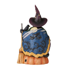 Halloween Cat Lighted Rotator