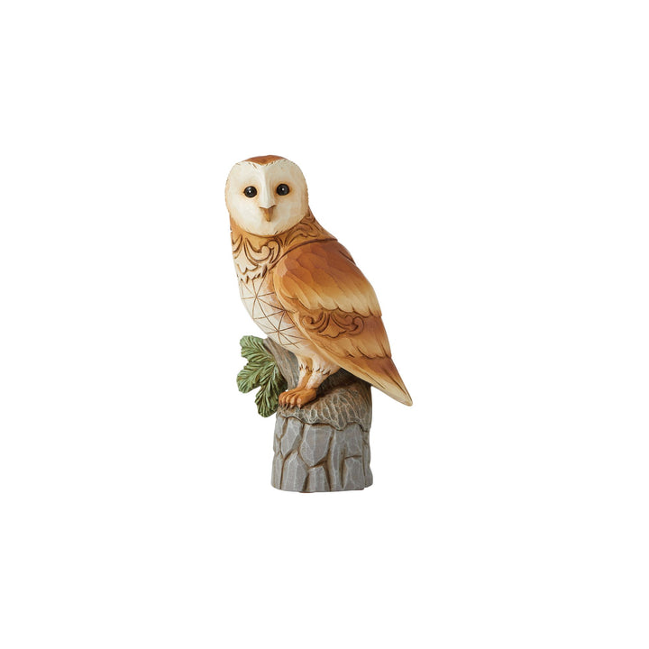 Barn Owl